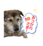 ココロ スタンプ！（個別スタンプ：5）