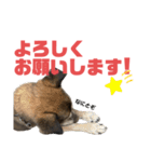 ココロ スタンプ！（個別スタンプ：6）