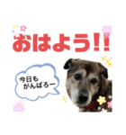ココロ スタンプ！（個別スタンプ：8）