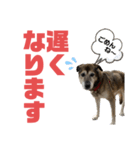 ココロ スタンプ！（個別スタンプ：13）