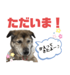 ココロ スタンプ！（個別スタンプ：16）