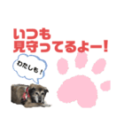 ココロ スタンプ！（個別スタンプ：17）