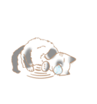 お寺ねこのラグ（個別スタンプ：4）