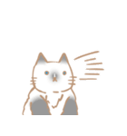 お寺ねこのラグ（個別スタンプ：5）