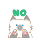 お寺ねこのラグ（個別スタンプ：9）