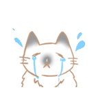 お寺ねこのラグ（個別スタンプ：11）
