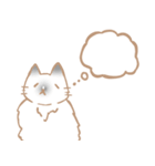 お寺ねこのラグ（個別スタンプ：14）