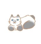 お寺ねこのラグ（個別スタンプ：25）