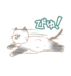 お寺ねこのラグ（個別スタンプ：31）