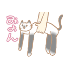 お寺ねこのラグ（個別スタンプ：32）