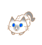 お寺ねこのラグ（個別スタンプ：34）