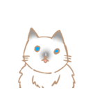 お寺ねこのラグ（個別スタンプ：37）