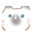 お寺ねこのラグ（個別スタンプ：38）