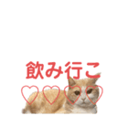 白玉とあんみつ甘味処姉妹（個別スタンプ：10）
