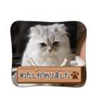 ゆいととなかまたち（個別スタンプ：23）