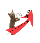 ねこねこ さばみそ（個別スタンプ：7）