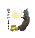 ねこねこ さばみそ（個別スタンプ：18）