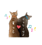 ねこねこ さばみそ（個別スタンプ：22）