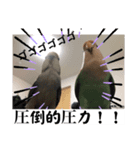 コザクラ部（個別スタンプ：8）