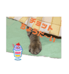 モモちゃん日常会話2（個別スタンプ：8）