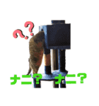 モモちゃん日常会話2（個別スタンプ：16）