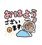 モモちゃん日常会話（個別スタンプ：3）