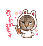 モモちゃん日常会話（個別スタンプ：5）