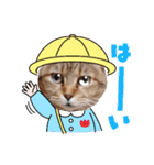 モモちゃん日常会話（個別スタンプ：6）
