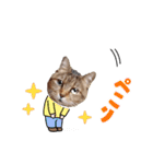 モモちゃん日常会話（個別スタンプ：7）