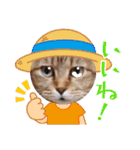 モモちゃん日常会話（個別スタンプ：9）