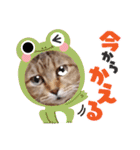 モモちゃん日常会話（個別スタンプ：10）