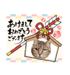 モモちゃん日常会話（個別スタンプ：14）