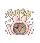 モモちゃん日常会話（個別スタンプ：16）