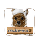 ラブリーぽちゃ（個別スタンプ：4）