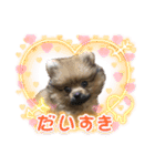 ラブリーぽちゃ（個別スタンプ：5）