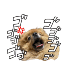 ラブリーぽちゃ（個別スタンプ：11）