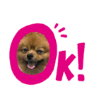 ラブリーぽちゃ（個別スタンプ：13）