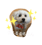 ひなたちゃんスタンプ 第4弾（個別スタンプ：6）