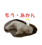 ひなたちゃんスタンプ 第4弾（個別スタンプ：18）