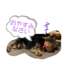 ひなたちゃんスタンプ 第4弾（個別スタンプ：23）