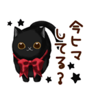 クリクリ黒猫♡日常会話スタンプ（個別スタンプ：10）