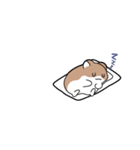 きぬげ短冊（個別スタンプ：24）