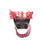 三角な猫8（個別スタンプ：9）