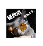 三角な猫8（個別スタンプ：14）