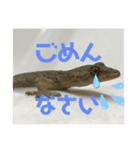 ヤモチャン×斉藤さん達！（個別スタンプ：5）