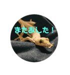 ヤモチャン×斉藤さん達！（個別スタンプ：8）