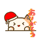 ひょっこり猫   (クリスマス)（個別スタンプ：1）