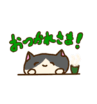 ひょっこり猫   (クリスマス)（個別スタンプ：2）