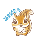 ふっくらシマリス（個別スタンプ：1）