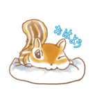 ふっくらシマリス（個別スタンプ：2）